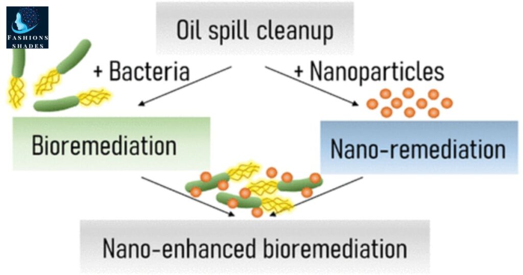 Practical Solutions for Every Oil Stain Scenario