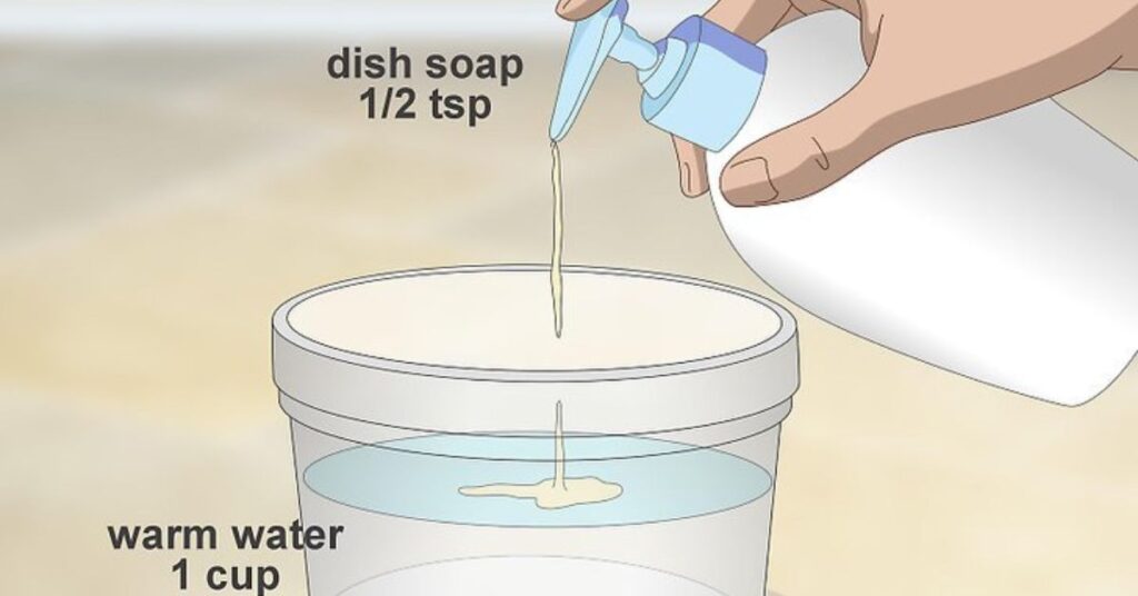 How to Use Dish Soap for Tree Sap Removal?