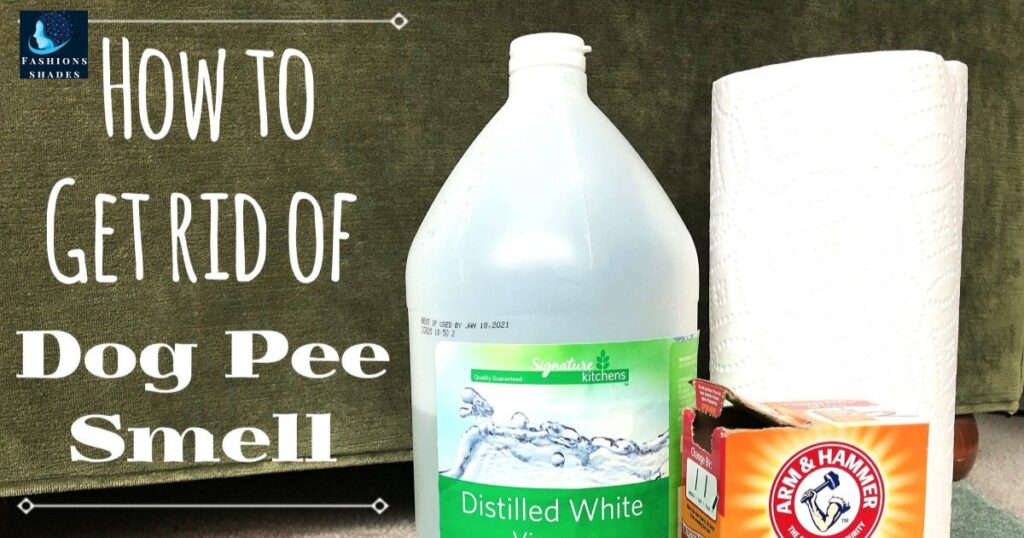 Remove Stubborn Pee Smell