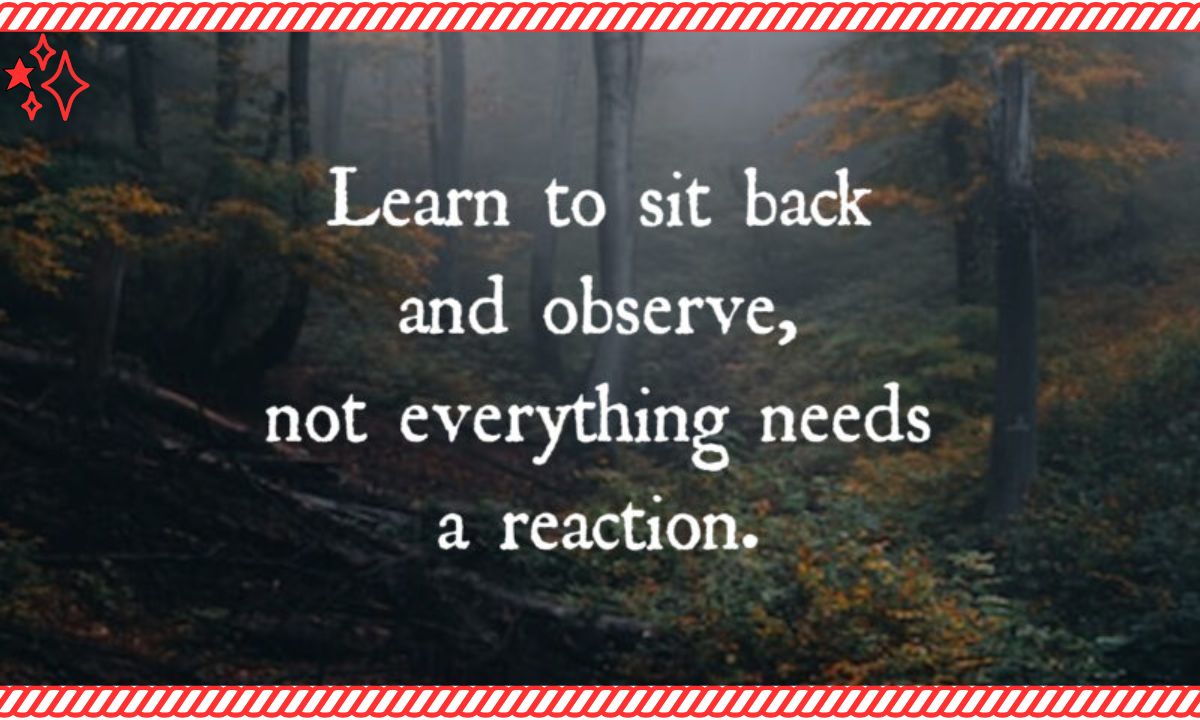 Learn To Sit Back And Observe Not Everything Needs Your Reaction